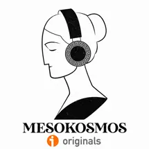 Mesokosmos Historia
